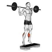 Standing Calf Raise (Barbell)
