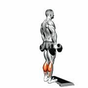 Standing Calf Raise (Dumbbell)