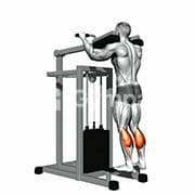 Standing Calf Raise (Machine)