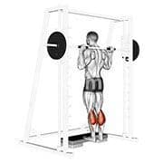 Standing Calf Raise (Smith)