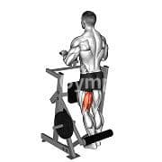 Standing Leg Curls