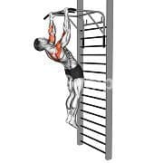Sternum Pull up (Gironda)
