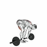 Straight Leg Deadlift