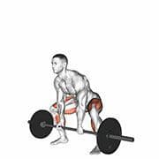 Sumo Deadlift