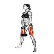Sumo Squat (Dumbbell)
