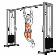 Toes to Bar
