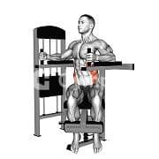 Torso Rotation