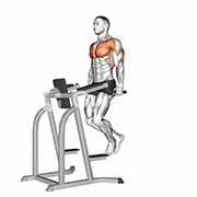 Triceps Dip