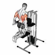 Triceps Dip (Assisted)
