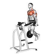 Triceps Dip (Weighted)
