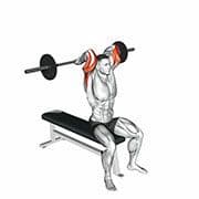 Triceps Extension (Barbell)