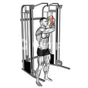 Triceps Extension (Cable)