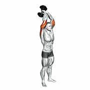 Triceps Extension (Dumbbell)