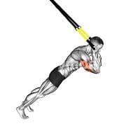 Triceps Extension (Suspension)