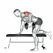 Triceps Kickback (Dumbbell)