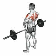 Upright Row (Barbell)