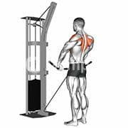 Upright Row (Cable)