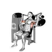 Vertical Traction (Machine)