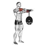 Wrist Roller