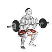 Zercher Squat