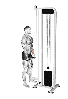 Cable Standing Wrist Curl