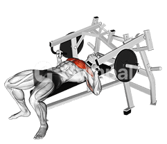 Lever Lying Chest Press