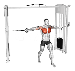 Cable Middle Fly