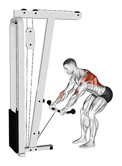 Cable Bent Over Row