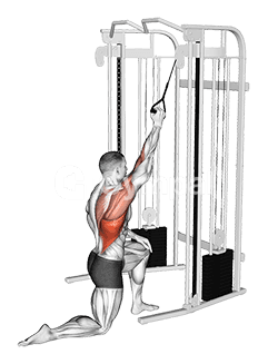 Cable Kneeling One Arm Lat Pulldown