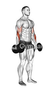Alternate Biceps Curl