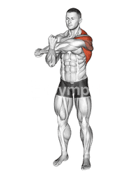 Across Chest Shoulder Stretch