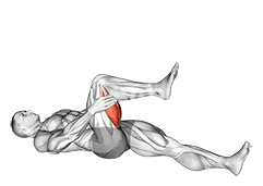 Hamstring Stretch