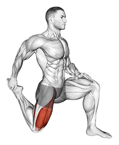 Quadriceps stretch
