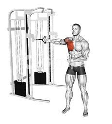 Cable Standing Single Arm Fly