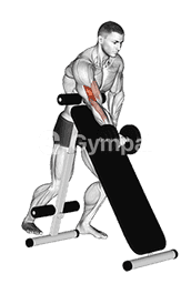 Dumbbell Standing One Arm Curl