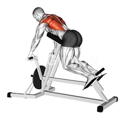 Lever Lying Banded T-bar Row