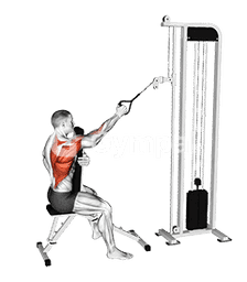 Cable Single Arm High Row with Chest Support