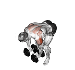 Rear Lateral Raise