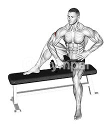 Dumbbell Seated External Shoulder Rotation