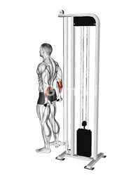 Cable Standing Back Wrist Curl
