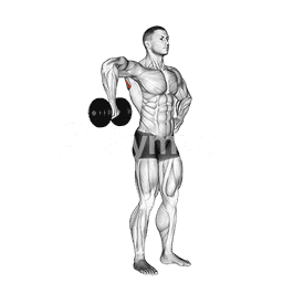 Upright Shoulder External Rotation