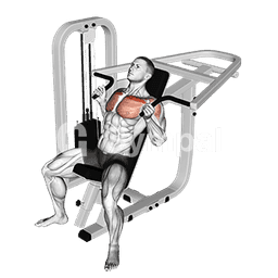 Lever Incline Hammer Chest Press