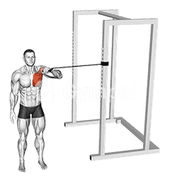 Band Cross Body One Arm Chest Press
