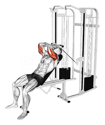 Cable Incline Skull Crusher