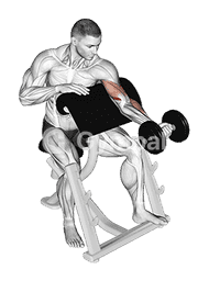 Dumbbell Preacher Curl (Turned Torso)