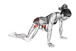 Frog Pose