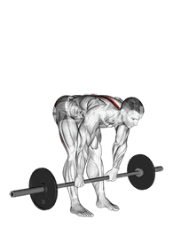 Barbell Stiff Legged Deadlift