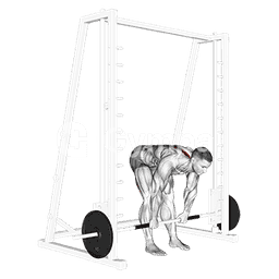 Smith Stiff Legged Deadlift