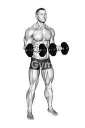 Dumbbell Standing Reverse Curl Rotate 