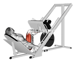 Sled 45° Single Leg Press